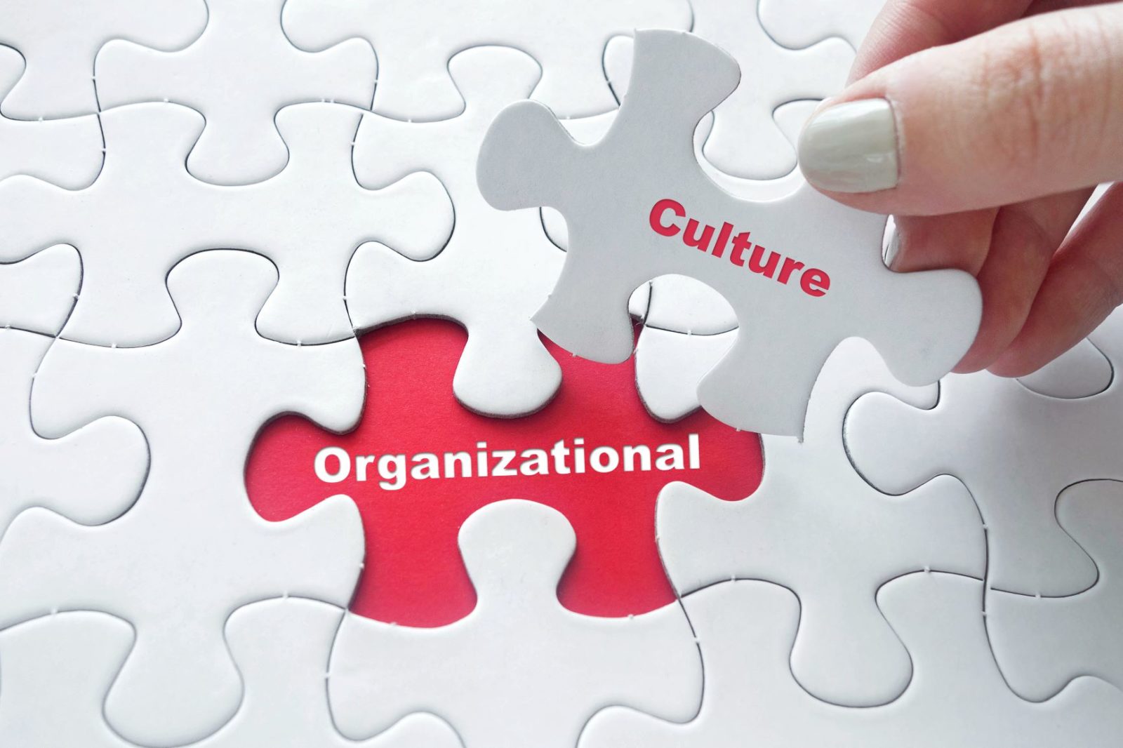 how-to-build-a-strong-organizational-culture-in-your-child-care-center