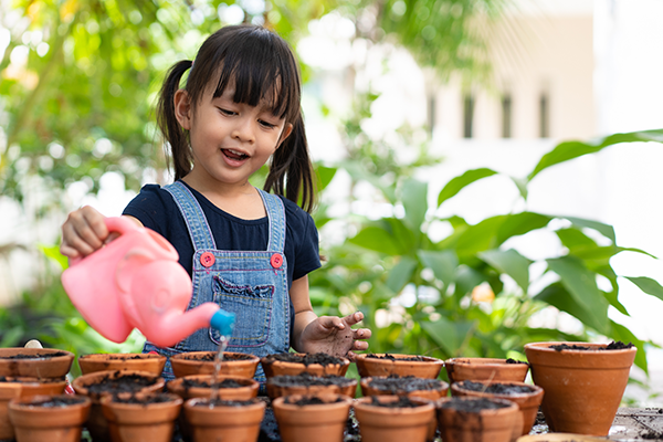 Preschool girl waters plants with a watering can.